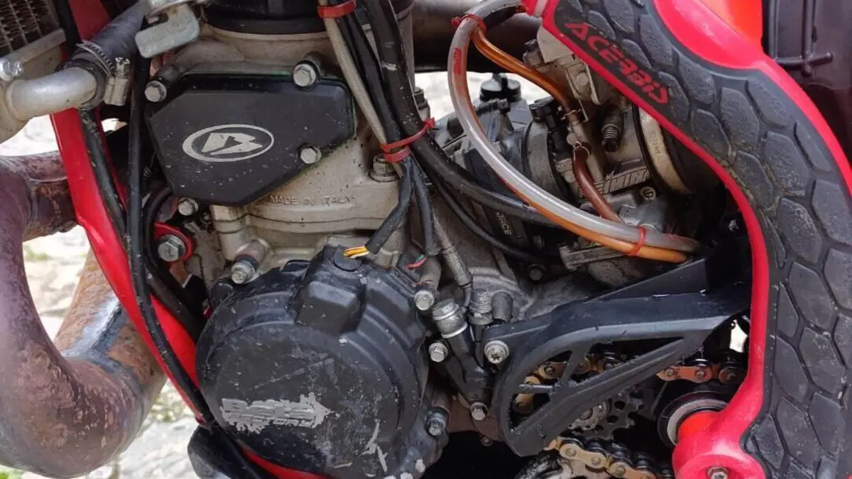 Betamotor RR 250 2T Enduro (2016)  (11)