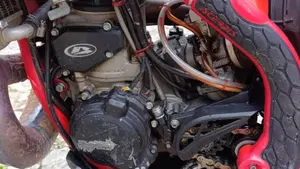 Betamotor RR 250 2T Enduro (2016)  (11)