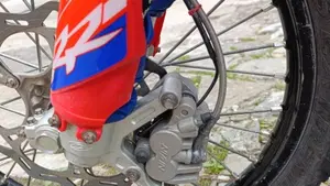 Betamotor RR 250 2T Enduro (2016)  (12)