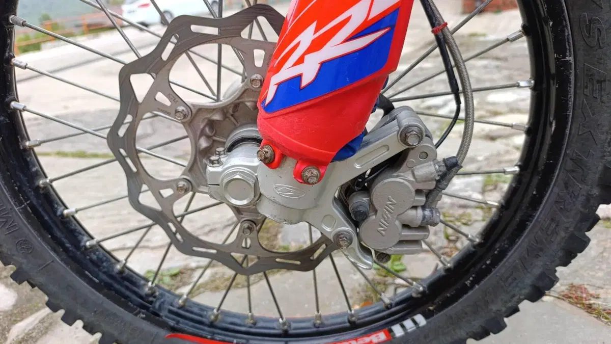Betamotor RR 250 2T Enduro (2016)  (14)