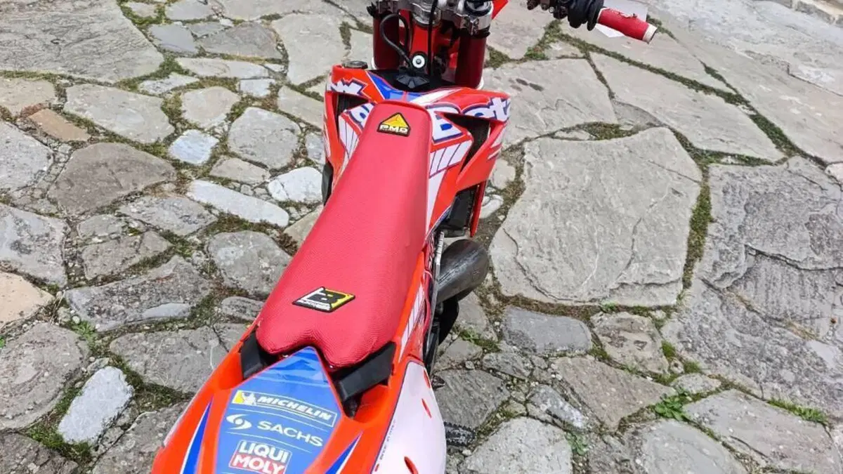 Betamotor RR 250 2T Enduro (2016)  (18)