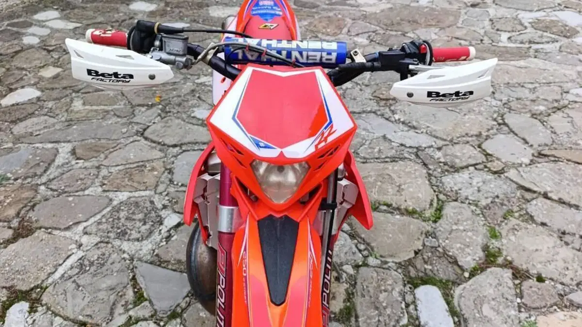 Betamotor RR 250 2T Enduro (2016)  (19)