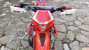 Betamotor RR 250 2T Enduro (2016)  (19)