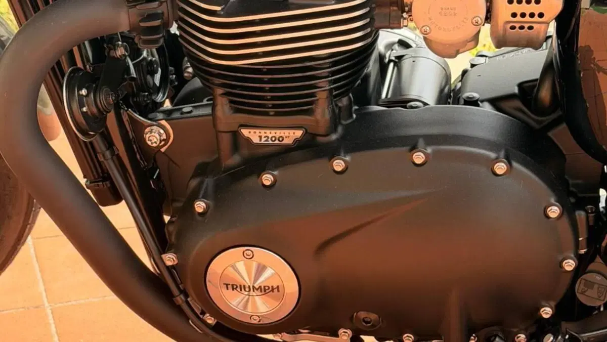 Triumph Bonneville T120 Black (2021 - 25)  (10)