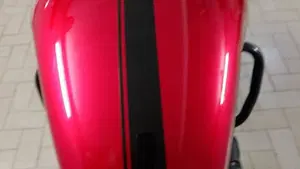 Triumph Speed Twin 900 Chrome Edition (2023)  (3)