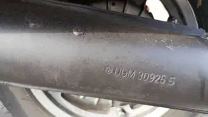 Piaggio   (7)