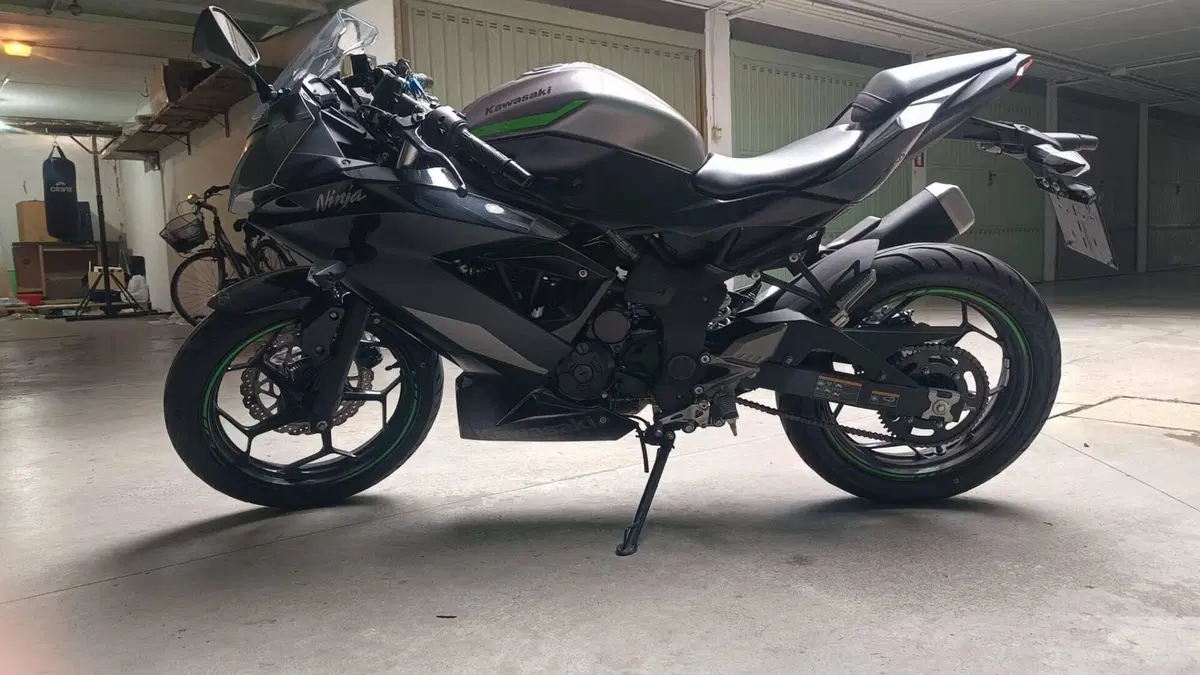 Kawasaki Ninja 125 (2021 - 24)  (2)