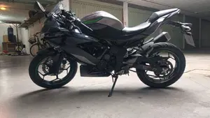 Kawasaki Ninja 125 (2021 - 24)  (2)