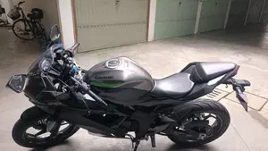 Kawasaki Ninja 125 (2021 - 24)  (3)