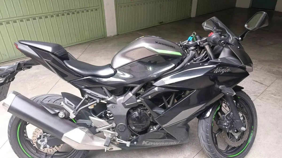 Kawasaki Ninja 125 (2021 - 24)  (5)