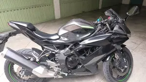 Kawasaki Ninja 125 (2021 - 24)  (5)