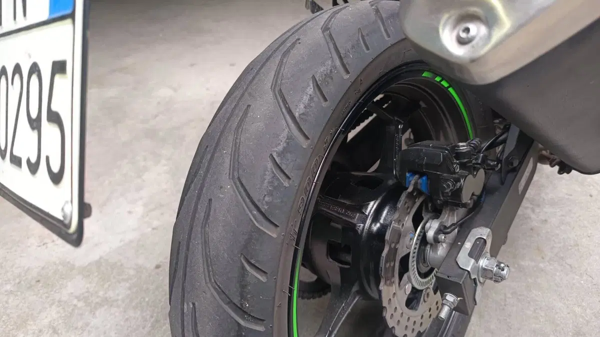 Kawasaki Ninja 125 (2021 - 24)  (6)