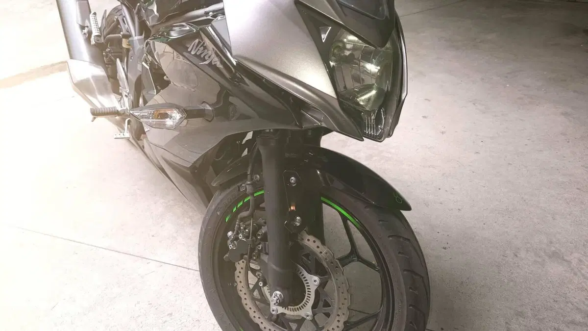 Kawasaki Ninja 125 (2021 - 24)  (7)