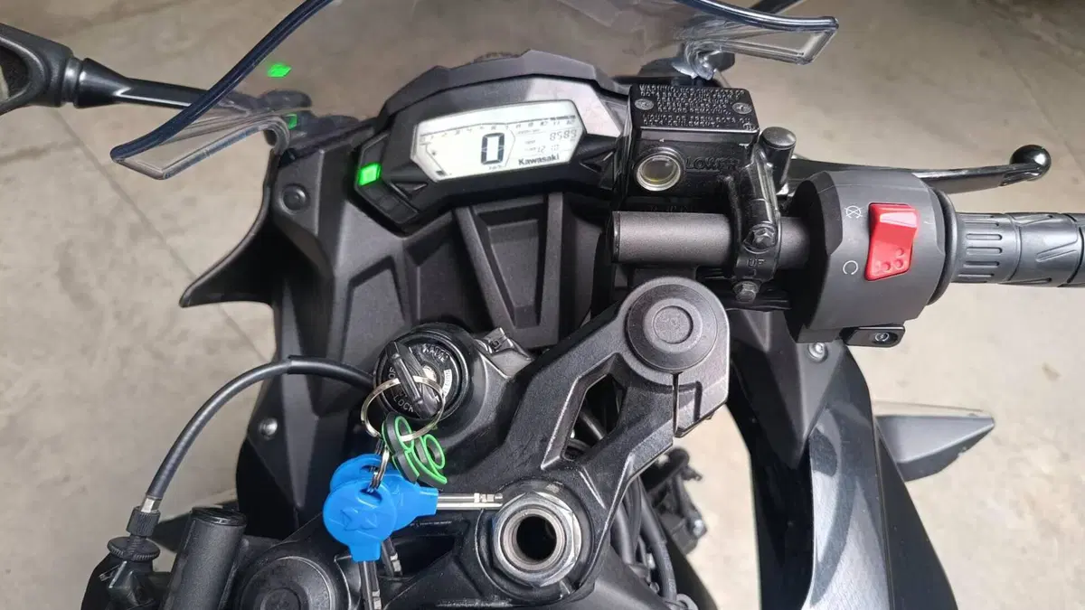 Kawasaki Ninja 125 (2021 - 24)  (8)