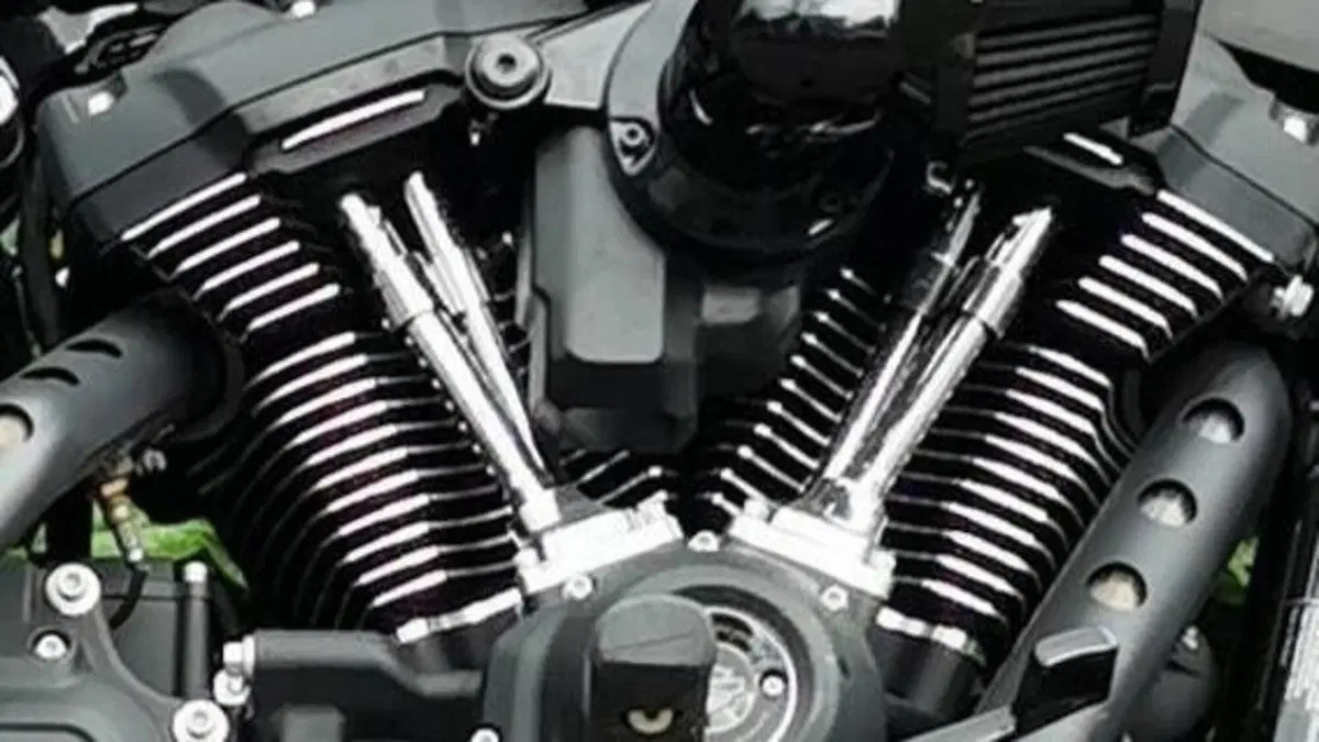 Harley-Davidson Low Rider S (2022 - 24)  (2)