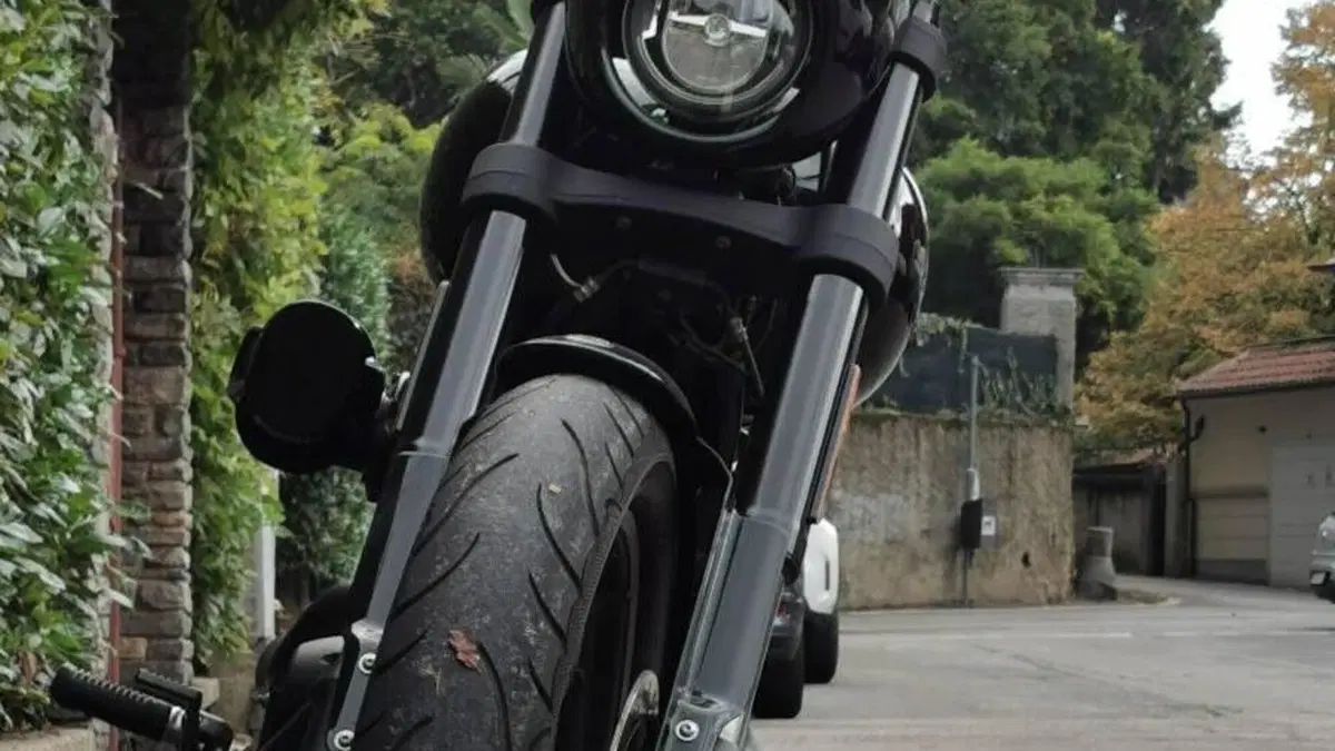 Harley-Davidson Low Rider S (2022 - 24)  (5)
