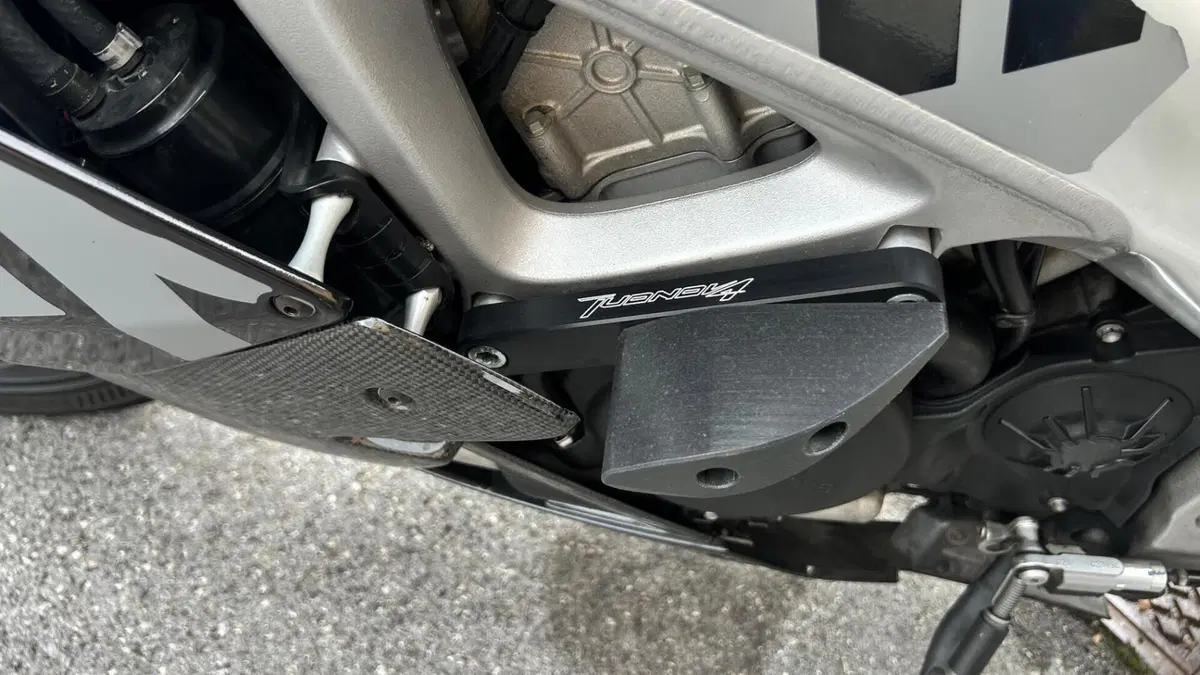 Aprilia Tuono V4 Factory (2019 - 20)  (3)