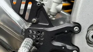 Aprilia Tuono V4 Factory (2019 - 20)  (6)