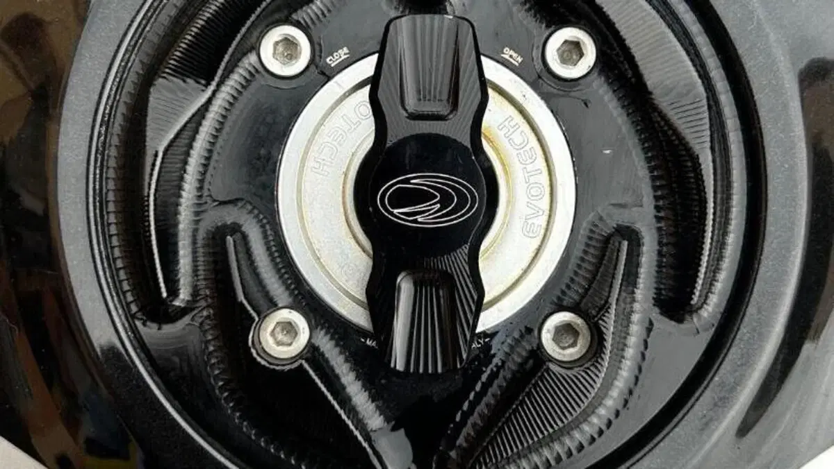 Aprilia Tuono V4 Factory (2019 - 20)  (7)
