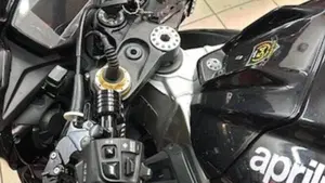 Aprilia Tuono V4 Factory (2019 - 20)  (9)