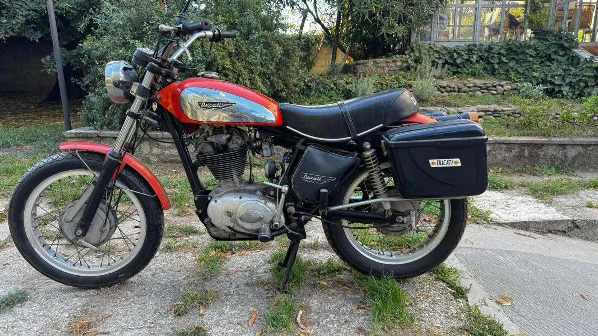 Ducati   (5)