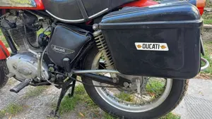 Ducati   (7)