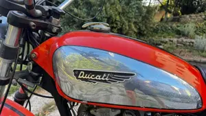 Ducati   (8)