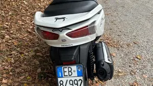 Honda Forza 300 ABS (2013 - 17)  (2)
