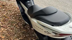 Honda Forza 300 ABS (2013 - 17)  (3)