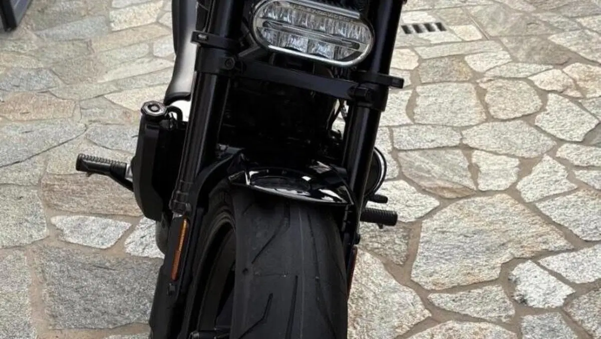 Harley-Davidson Sportster S (2022 - 24)  (2)