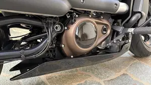 Harley-Davidson Sportster S (2022 - 24)  (4)