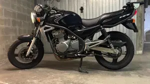 Kawasaki ER-5 500 (2001 - 06) 