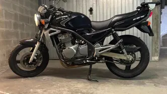 Kawasaki ER-5 500 (2001 - 06)
