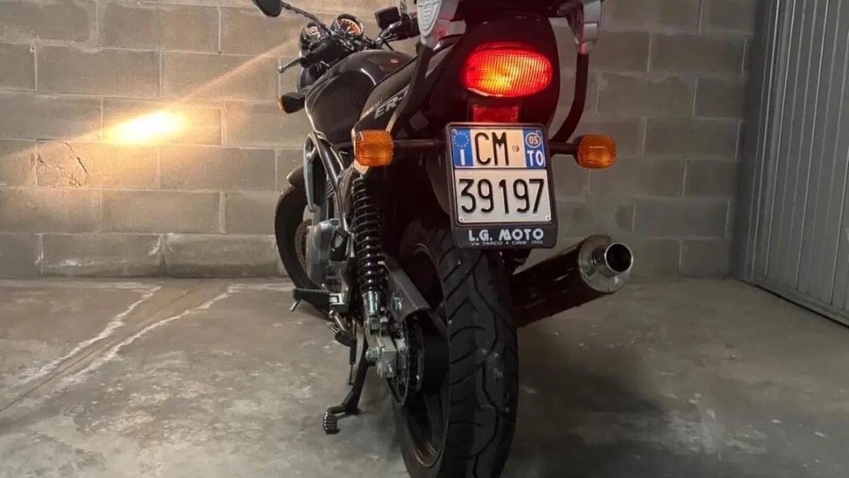 Kawasaki ER-5 500 (2001 - 06)  (5)