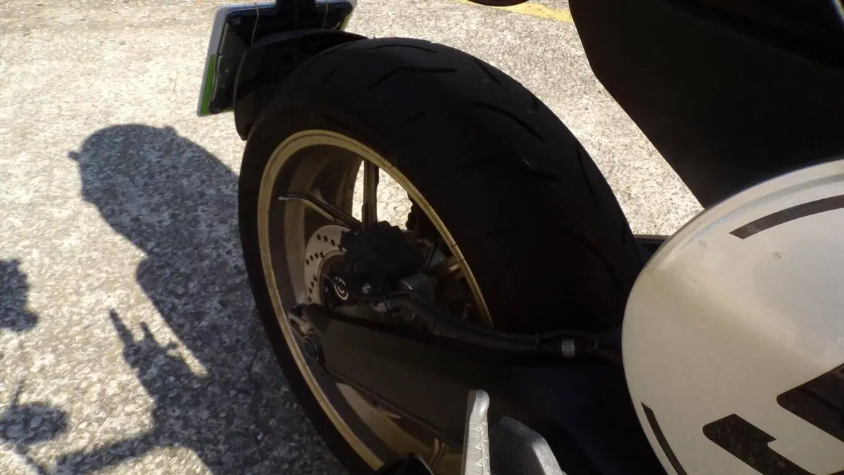 Ducati Scrambler 800 Cafè Racer (2017 - 21)  (15)