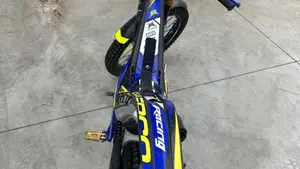 Sherco 300 SE-R Factory (2016)  (4)