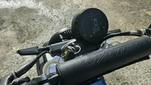 Fantic Motor Caballero 500 Scrambler (2024)  (4)