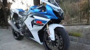 Suzuki GSX-R1000 (2009 - 11)  (2)