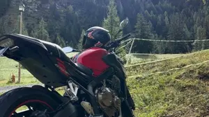 Honda CB 650 F (2017 - 18)  (3)