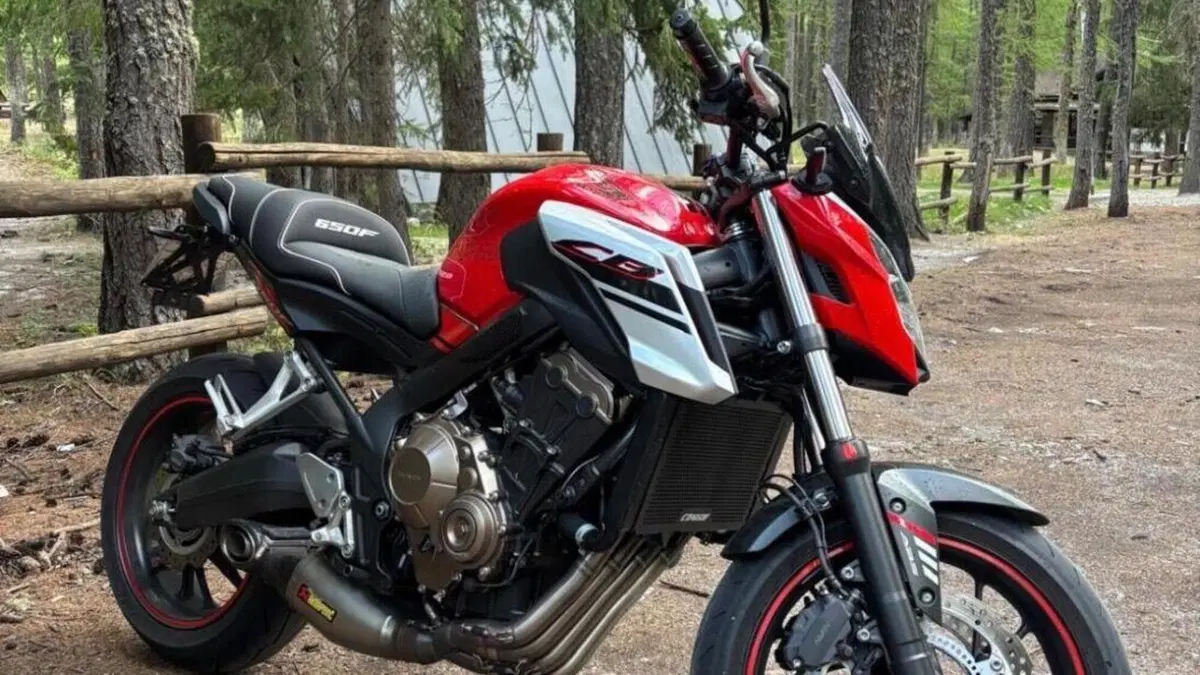 Honda CB 650 F (2017 - 18)  (5)