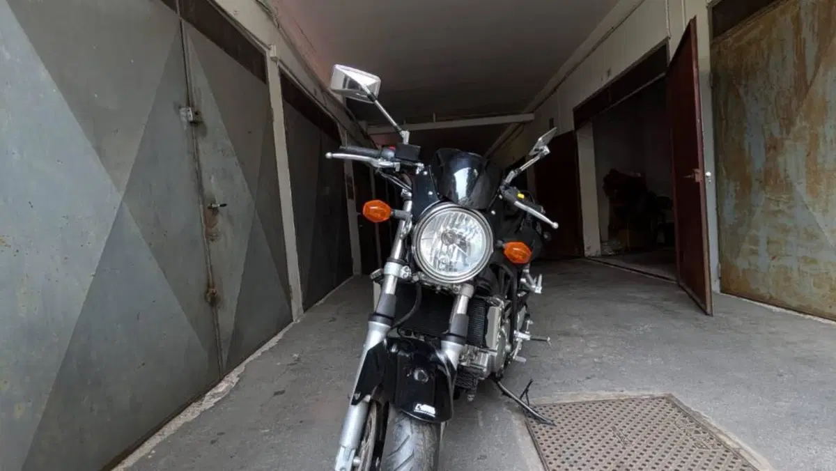 Suzuki SV 650 S (2006 - 11)  (6)