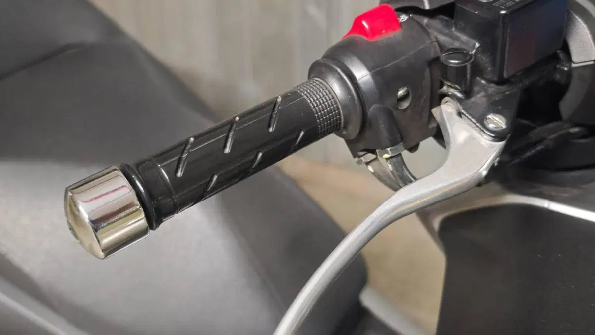 Honda Forza 300 (2019 - 20)  (8)