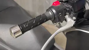 Honda Forza 300 (2019 - 20)  (8)