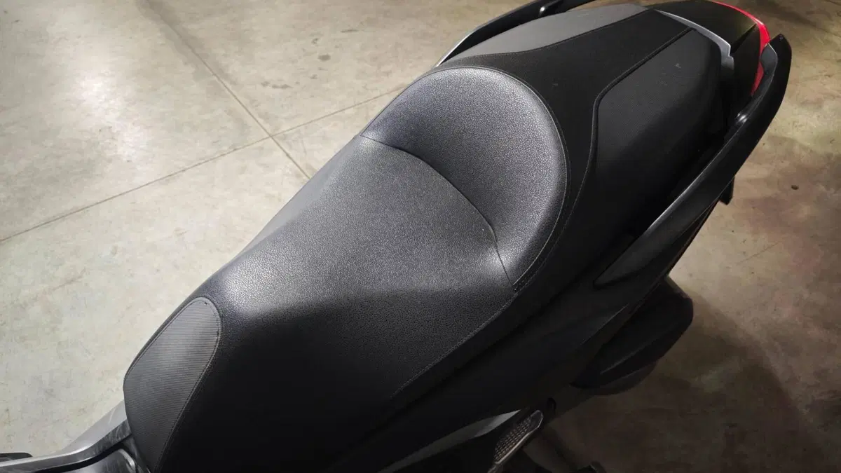 Honda Forza 300 (2019 - 20)  (13)