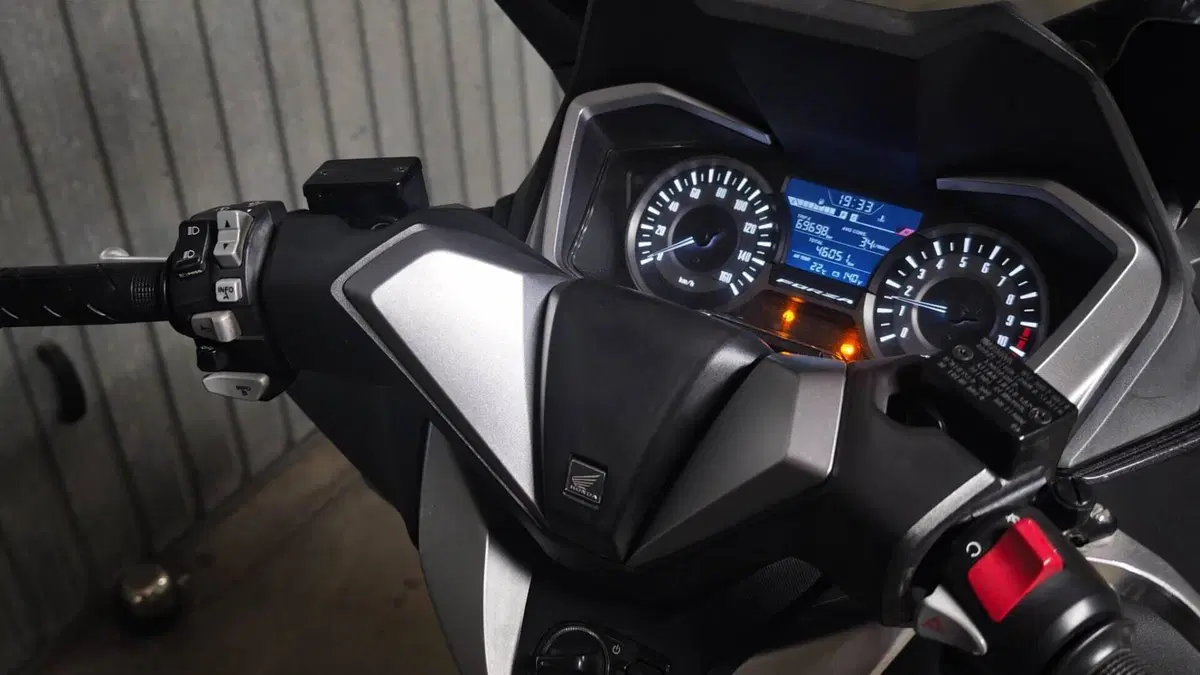 Honda Forza 300 (2019 - 20)  (9)