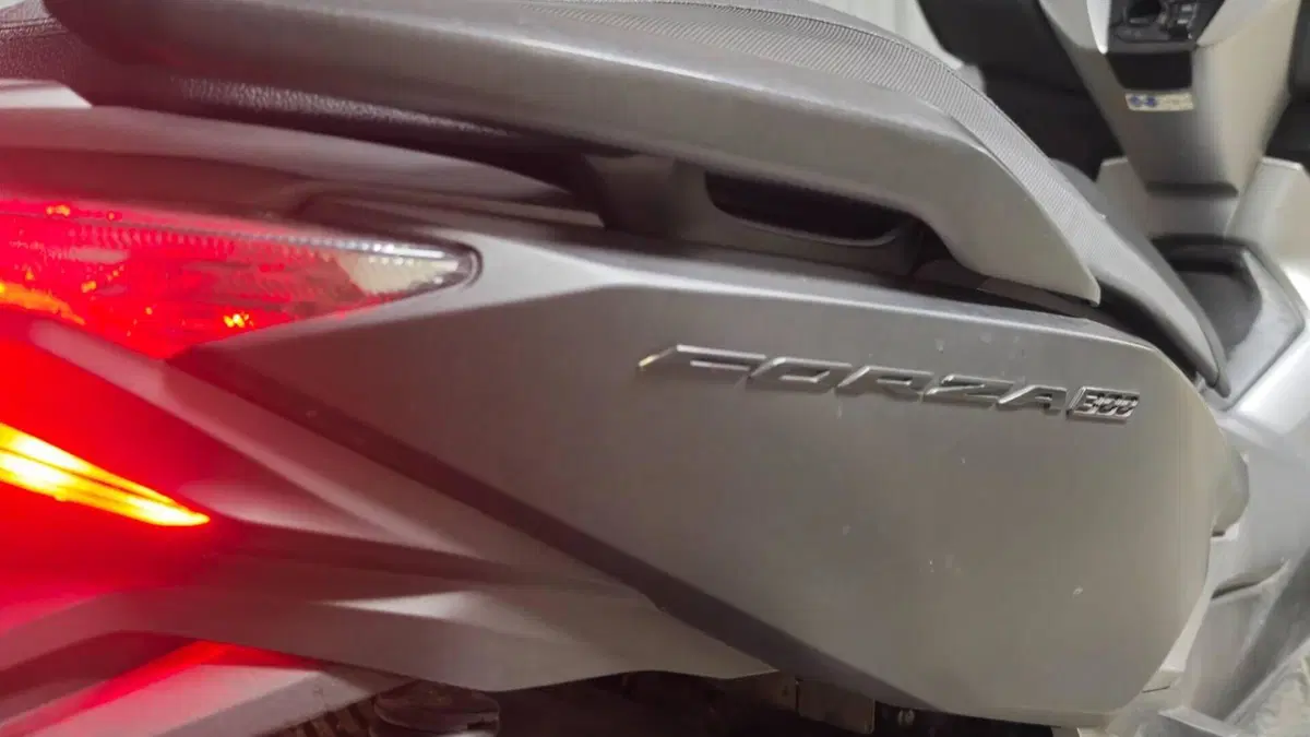 Honda Forza 300 (2019 - 20)  (10)