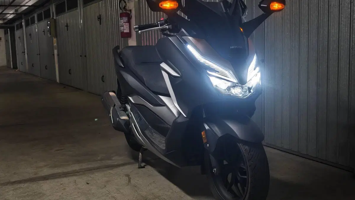Honda Forza 300 (2019 - 20)  (5)