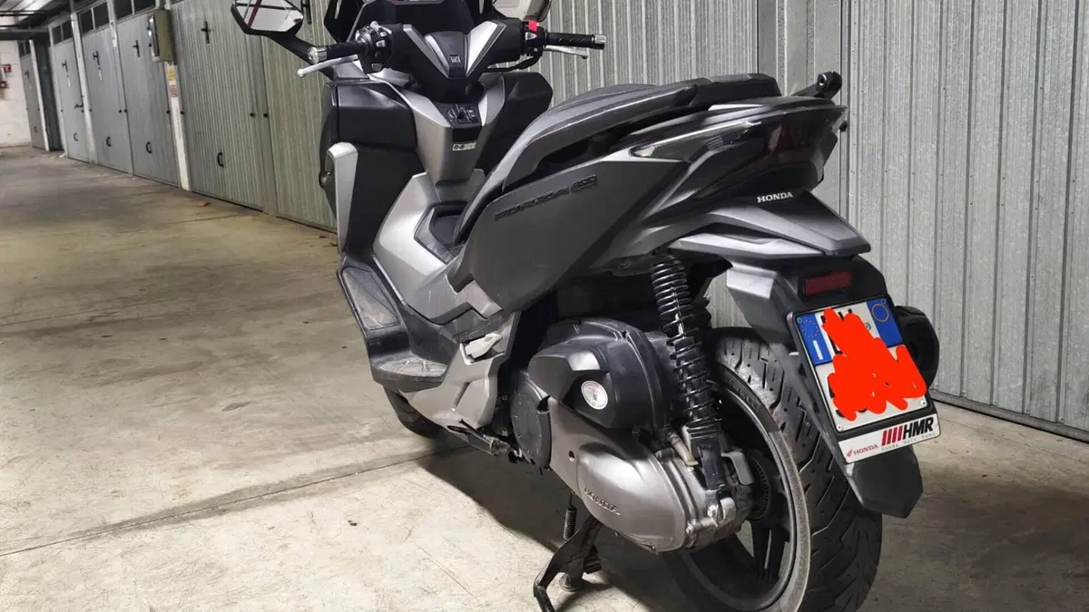 Honda Forza 300 (2019 - 20)  (4)