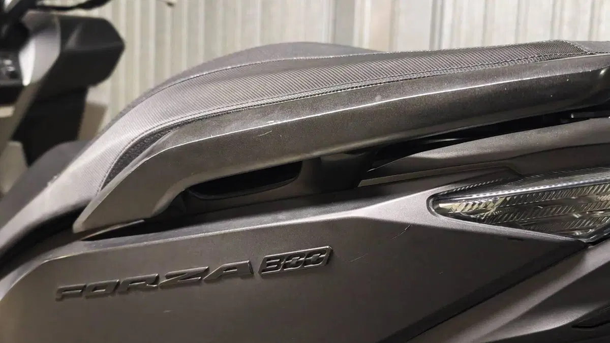 Honda Forza 300 (2019 - 20)  (12)
