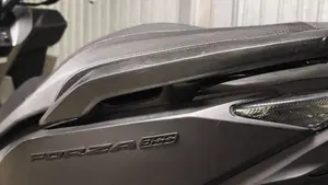 Honda Forza 300 (2019 - 20)  (12)